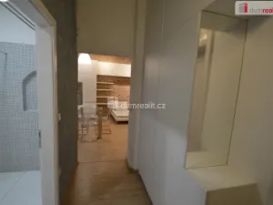 Pronájem bytu 2+kk, Plzeň - Jižní Předměstí, Hálkova, 64 m2