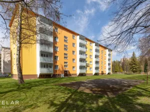 Prodej bytu 3+1, Rožnov pod Radhoštěm, Čs. armády, 79 m2