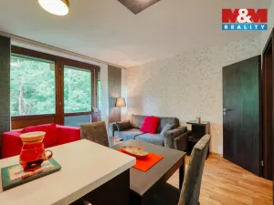 Pronájem bytu 2+kk, Železná Ruda - Alžbětín, 53 m2