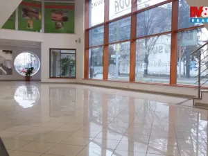 Pronájem obchodního prostoru, Opava - Předměstí, Krnovská, 135 m2