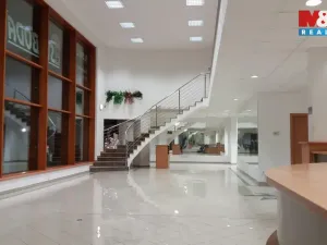 Pronájem obchodního prostoru, Opava - Předměstí, Krnovská, 135 m2