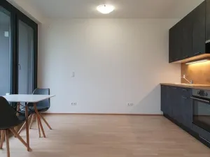 Pronájem bytu 1+kk, Praha, U průhonu, 38 m2