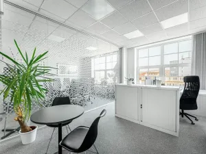 Pronájem kanceláře, Praha - Holešovice, U Uranie, 500 m2