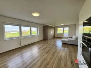 Pronájem bytu 3+kk, Plzeň - Černice, V Bezinkách, 99 m2