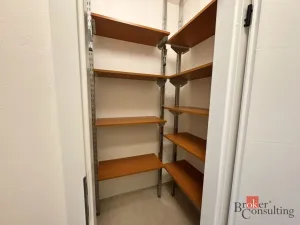 Pronájem bytu 3+kk, Plzeň - Černice, V Bezinkách, 99 m2