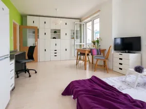 Pronájem bytu 1+kk, Brno, Bešůvka, 38 m2