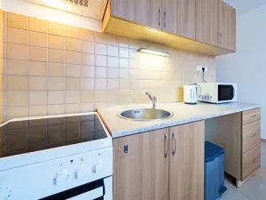 Prodej bytu 1+1, Loket, Mírová, 40 m2