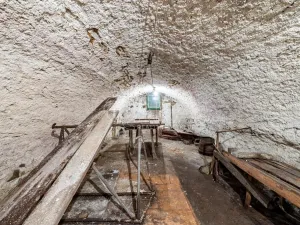 Prodej rodinného domu, Štěnovice, Na šancích, 120 m2