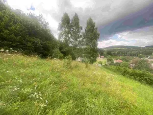 Prodej pozemku, Mladkov, 1004 m2