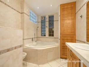 Pronájem bytu 3+kk, Praha - Nusle, V podluží, 74 m2