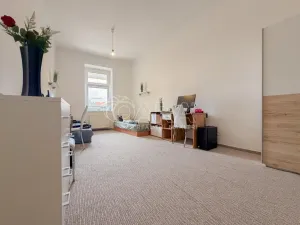 Pronájem pokoje, České Budějovice - České Budějovice 6, Jeronýmova, 20 m2