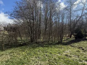 Prodej lesa, Výprachtice, 1892 m2