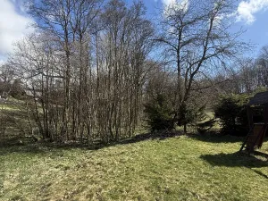 Prodej lesa, Výprachtice, 1892 m2