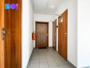 Prodej bytu 2+kk, České Budějovice, Otakarova, 59 m2