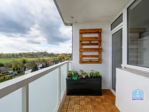 Prodej bytu 3+1, Bezdružice, Na Sídlišti, 62 m2