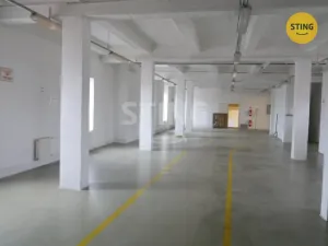 Pronájem výrobních prostor, Opava, Rybářská, 694 m2