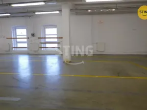 Pronájem výrobních prostor, Opava, Rybářská, 694 m2