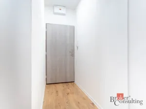 Prodej bytu 2+kk, Ostrava - Přívoz, Palackého, 48 m2