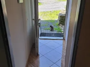 Pronájem bytu 1+kk, Jámy, 30 m2