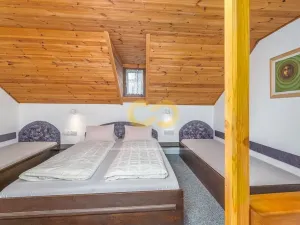 Prodej ubytování, Český Krumlov, Rooseveltova, 391 m2