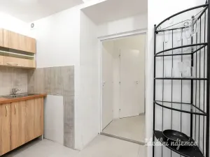 Pronájem bytu 2+kk, Praha - Libeň, Pod Kotlaskou, 48 m2