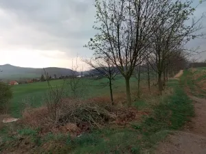 Prodej pole, Prackovice nad Labem, 3067 m2