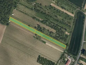 Prodej sadu/vinice, Svatobořice-Mistřín, 5062 m2