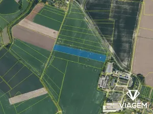 Prodej pole, Cholenice, 19500 m2