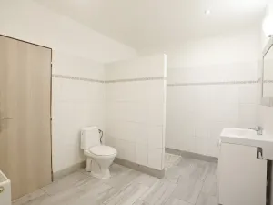Pronájem bytu 1+kk, Chabařovice, 55 m2