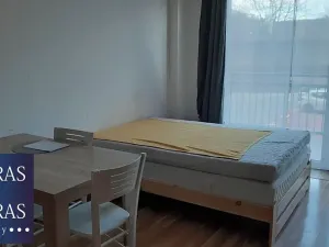 Prodej bytu 1+kk, Brno, Božetěchova, 23 m2