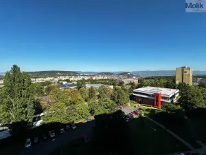 Pronájem bytu 3+1, Most, Javorová, 69 m2