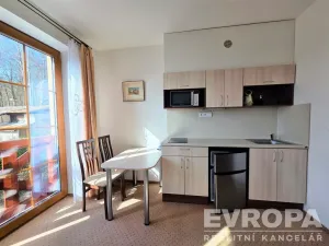 Pronájem bytu 1+kk, Rokytnice nad Jizerou - Dolní Rokytnice, 32 m2