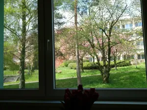 Pronájem bytu 2+1, Uherský Brod, Revoluční, 64 m2