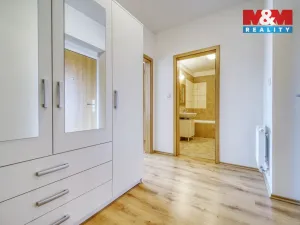 Pronájem bytu 1+kk, Plasy, U Václava, 42 m2