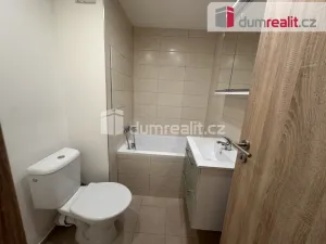 Pronájem bytu 1+1, Ústí nad Labem - Severní Terasa, Větrná, 36 m2