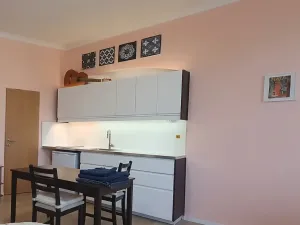 Pronájem bytu 1+kk, Praha - Libeň, Davídkova, 27 m2