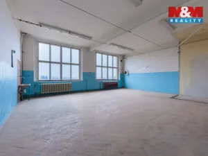 Pronájem výrobních prostor, Aš, Kotkova, 416 m2