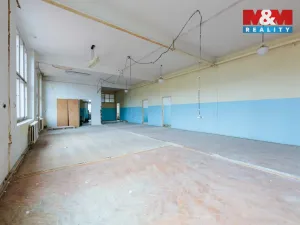 Pronájem výrobních prostor, Aš, Kotkova, 416 m2
