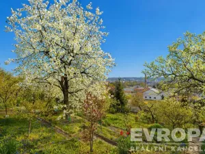 Prodej chaty, Praha - Libeň, Krejčího, 13 m2