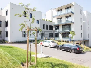 Pronájem bytu 2+kk, Praha - Řepy, U Lesoparku, 38 m2