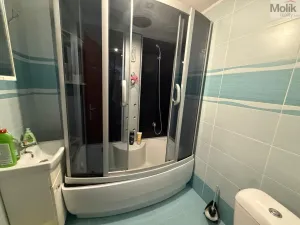 Pronájem bytu 1+1, Teplice - Trnovany, Thámova, 34 m2