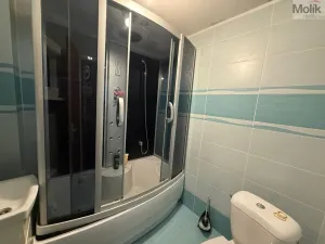 Pronájem bytu 1+1, Teplice - Trnovany, Thámova, 34 m2