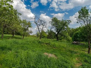 Prodej rodinného domu, Veliny, 157 m2