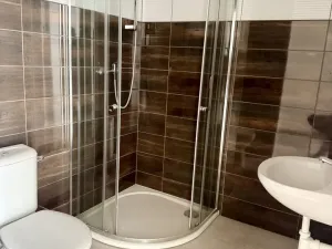 Prodej rodinného domu, Heřmanova Huť, Revoluční, 397 m2