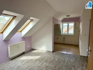 Prodej ubytování, Heřmanova Huť, Revoluční, 397 m2