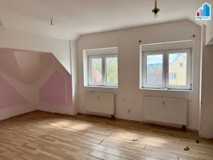 Prodej ubytování, Heřmanova Huť, Revoluční, 397 m2