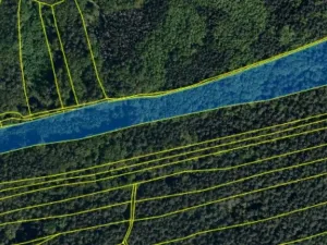 Prodej lesa, Kaňovice, 25807 m2