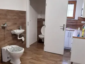 Prodej obchodního prostoru, Želatovice, 250 m2