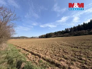 Prodej pole, Drevníky, 4478 m2