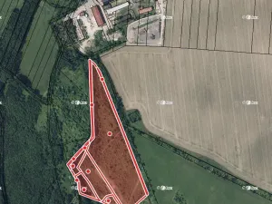 Pronájem louky, Bakov nad Jizerou, 48746 m2